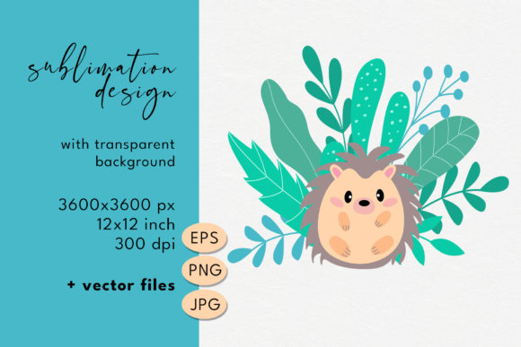 Download Hedgehog Illustration. Sublimation PNG - Hedgehog illustration Collection