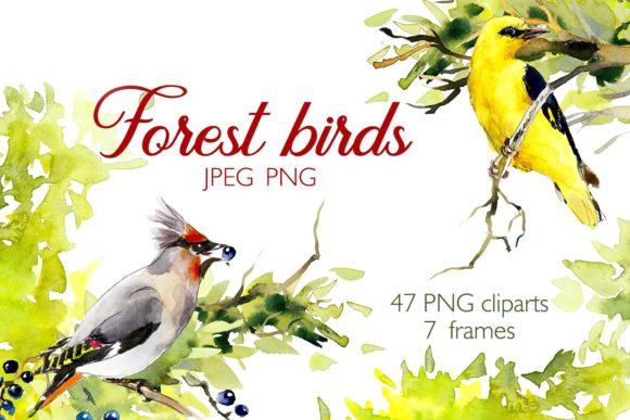 Download Watercolor Forest Bird Frames - Watercolor forest bird Collection