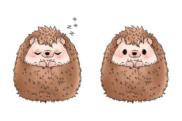 Download Cute Hedgehog Illustration - Hedgehog illustration Collection